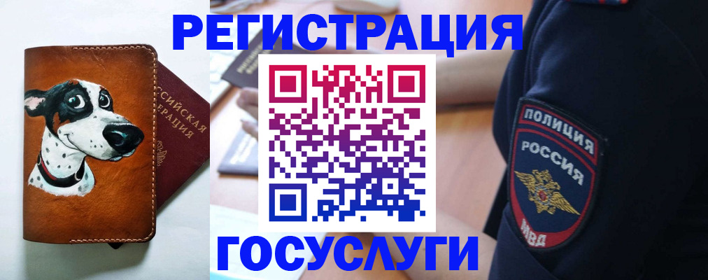 временная регистрация в квартире в Миллерово